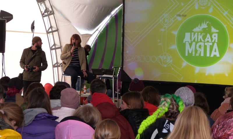 Изображение статьи