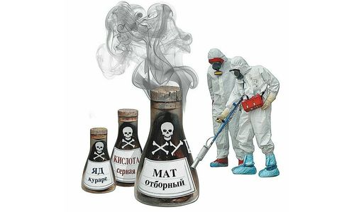 Изображение статьи